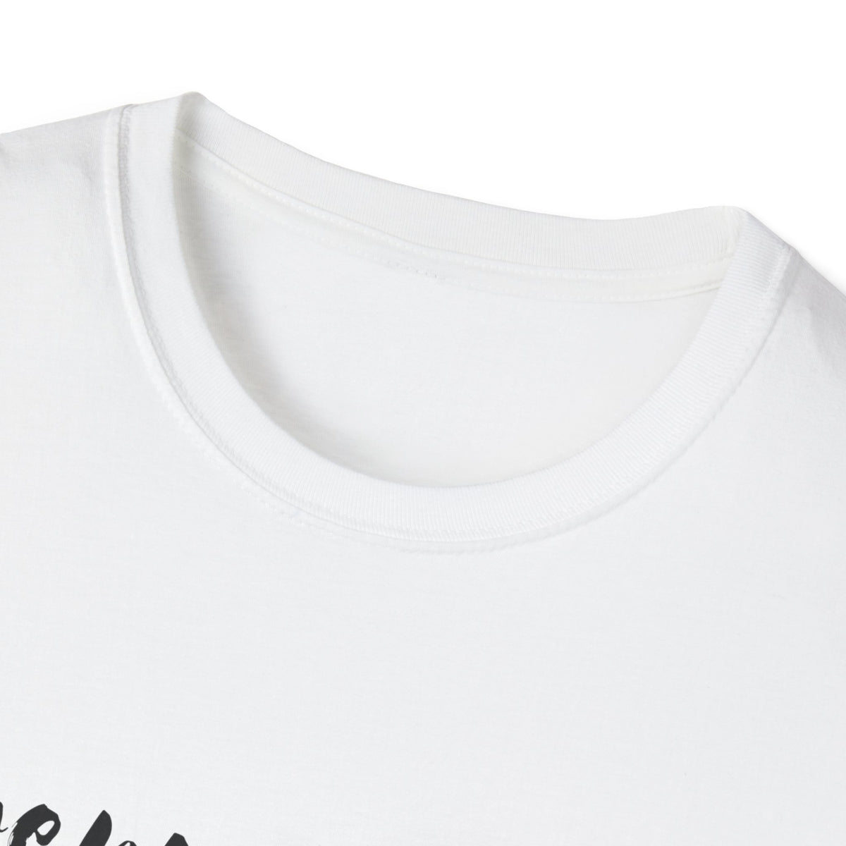 Entrepreneurship T