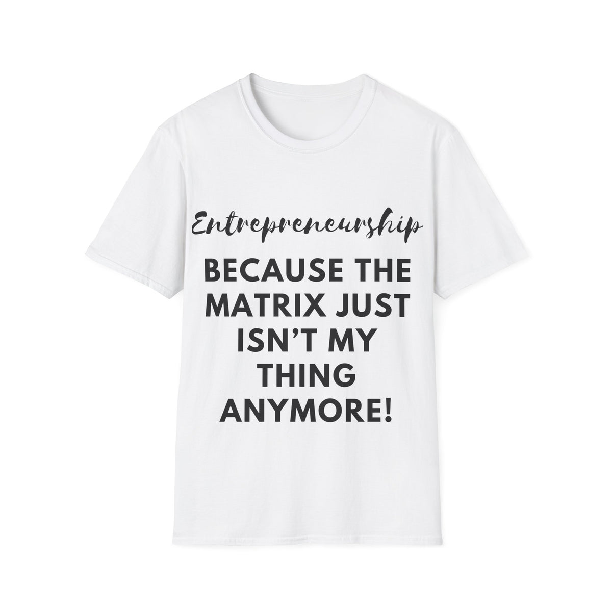 Entrepreneurship T