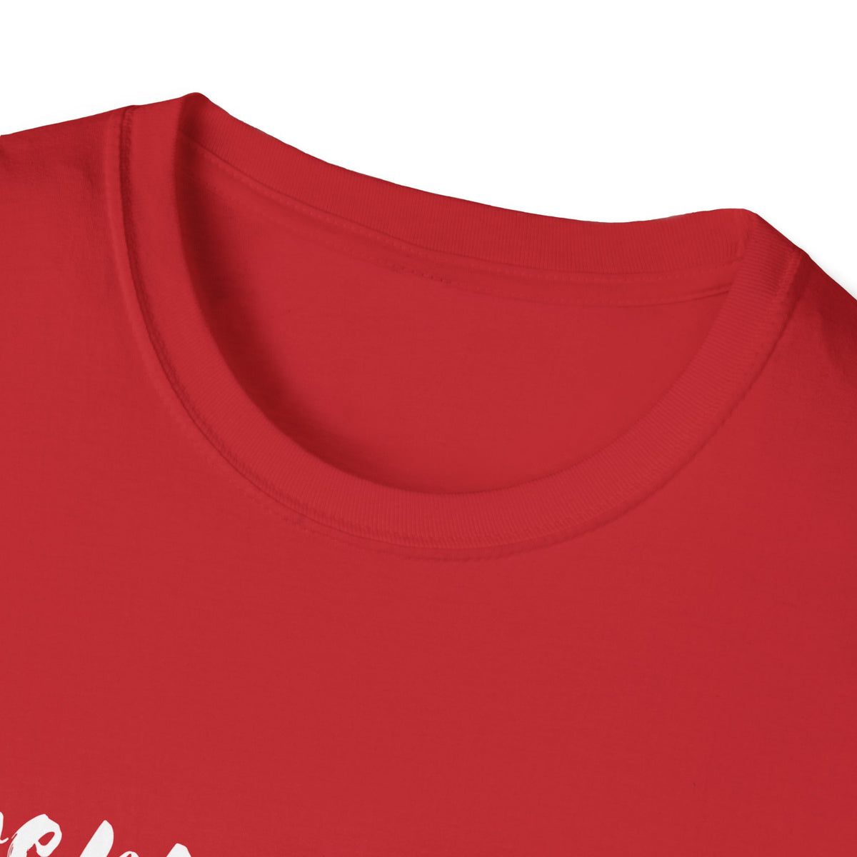 Entrepreneurship T